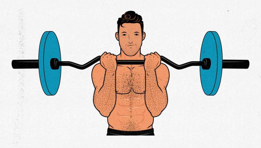 Illustration of a man doing a curl-bar biceps curl with an ez-bar barbell.