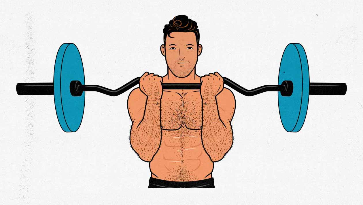 Illustration of a man doing a curl-bar biceps curl with an ez-bar barbell.