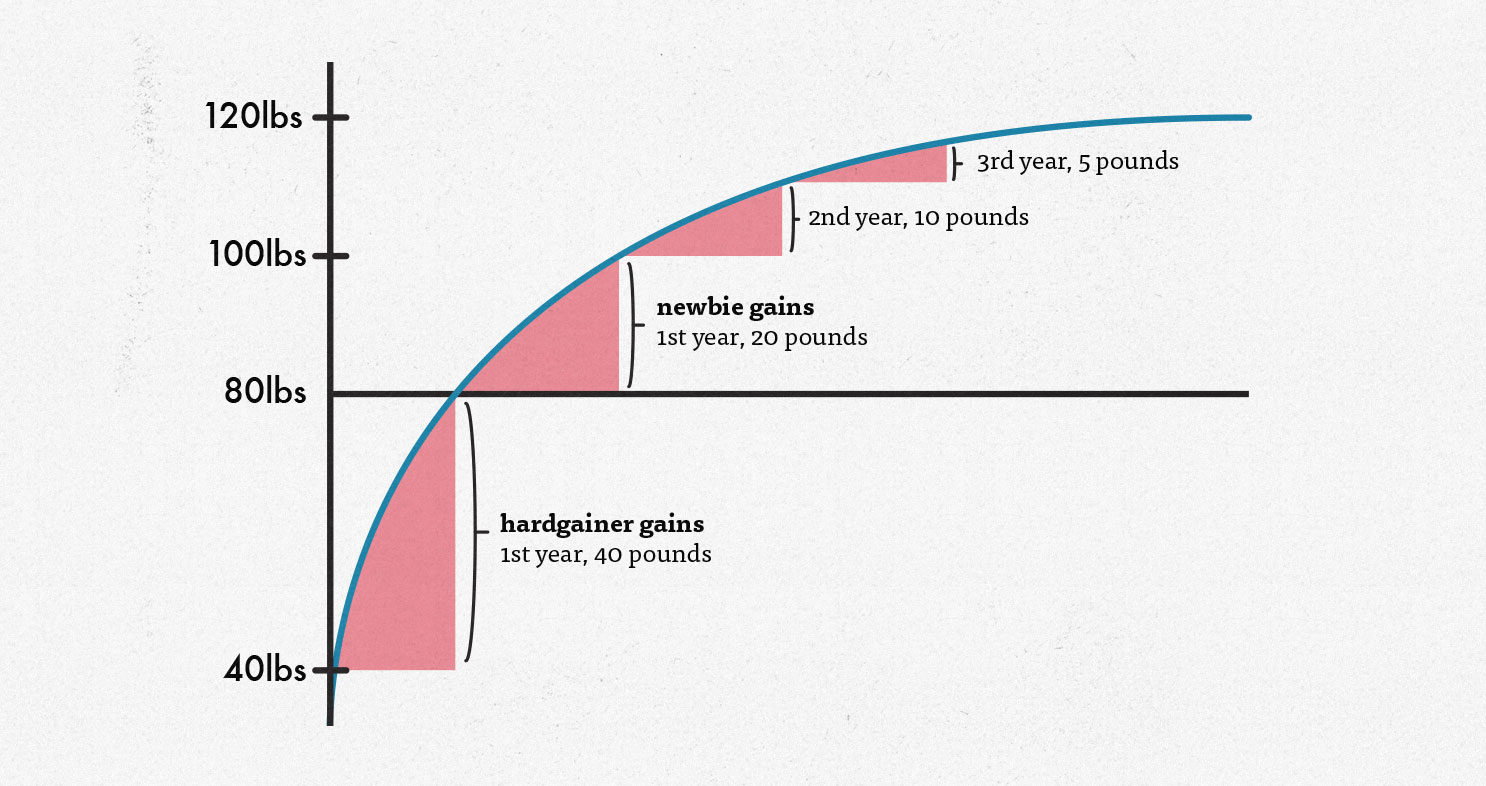 How quickly can a skinny beginner build muscle (newbie gains graph)