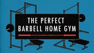 What equipment should you buy if you're trying to build a barbell home gym to train for size, strength and aesthetics
