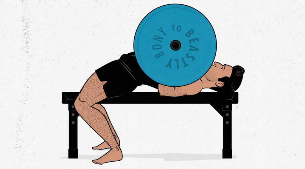Illustration of the barbell bench press