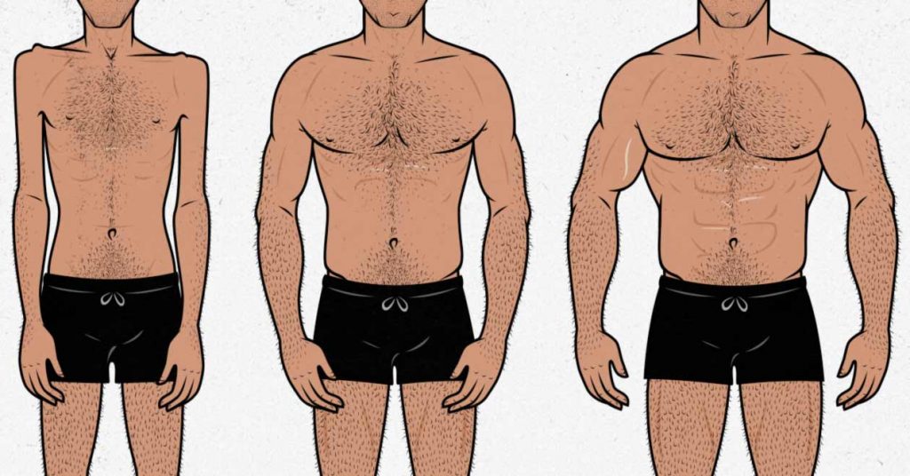 An illustration of a beginner lifter, an intermediate lifter, and an advanced lifter