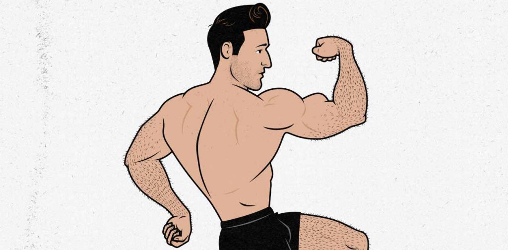 Illustration of a bodybuilder flexing