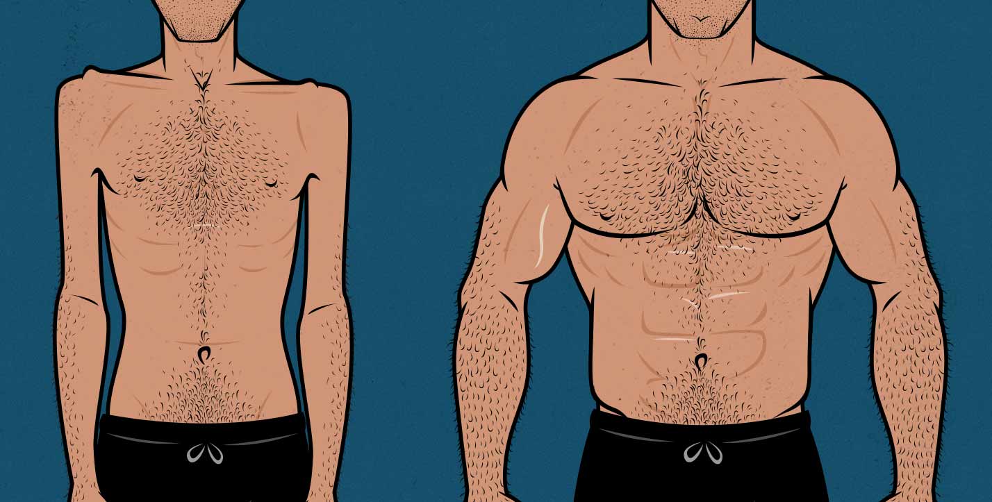 Bulking Up Workout Regimen EOUA Blog