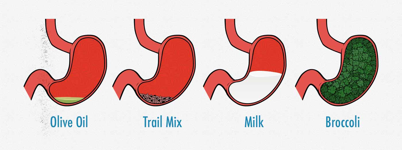 Illustration of how much space various foods take up in the stomach.