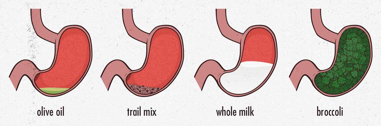 ilustração da quantidade de espaço que os diferentes alimentos ocupam no estômago.