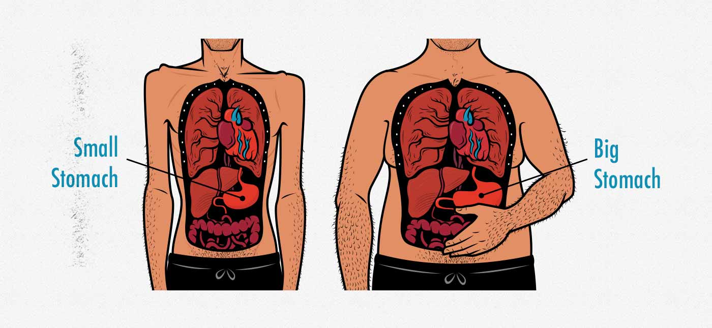 does bulking and cutting cause reflux