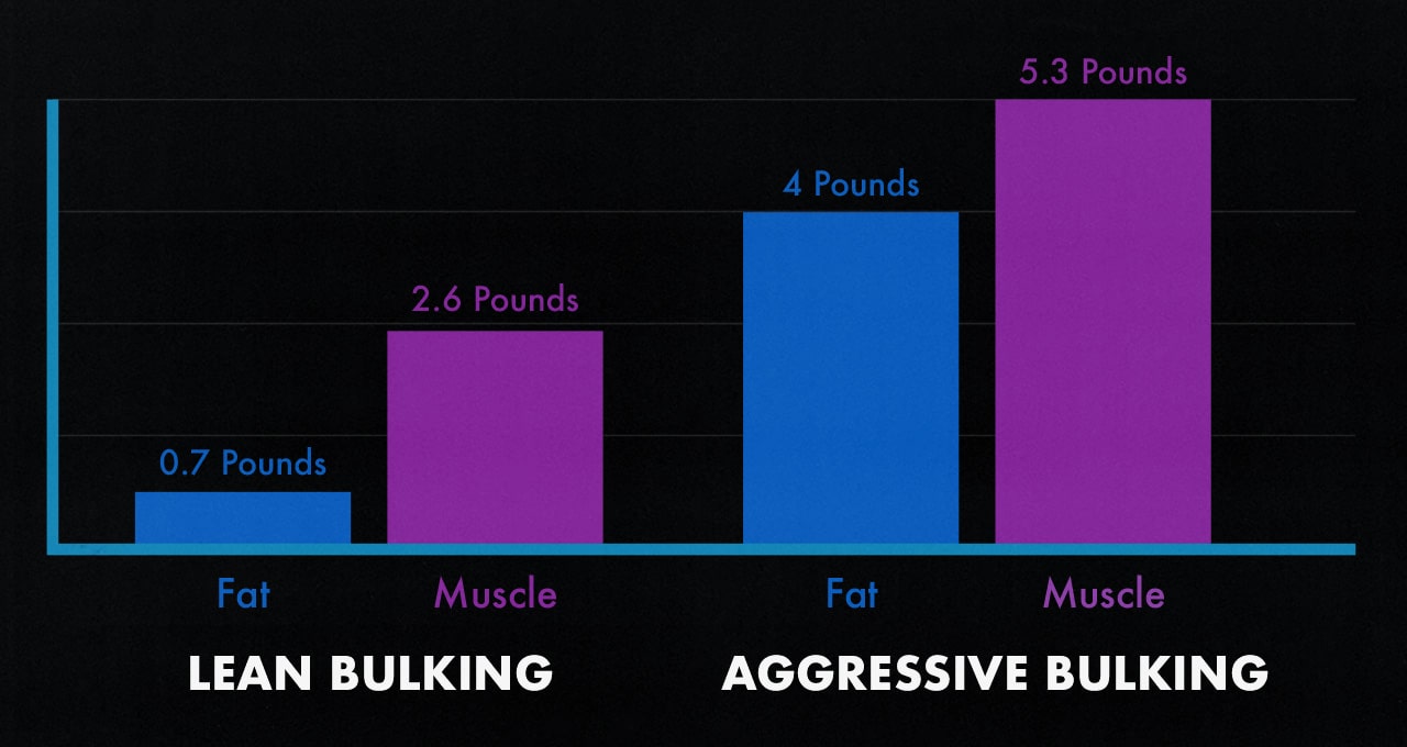 Study graph showing the muscle and fat gains when people gained weight at different rates while bulking.