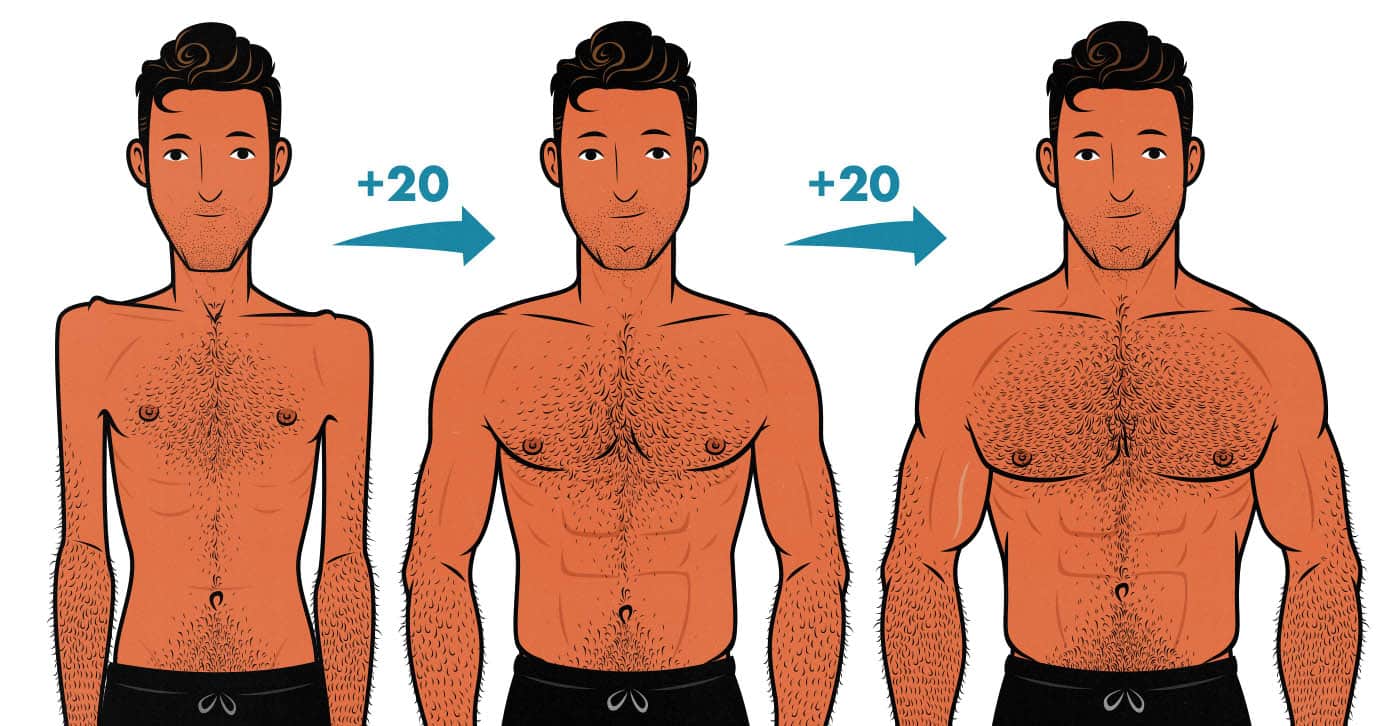 Illustration showing what it looks like to gain 20 pounds on a bulk.