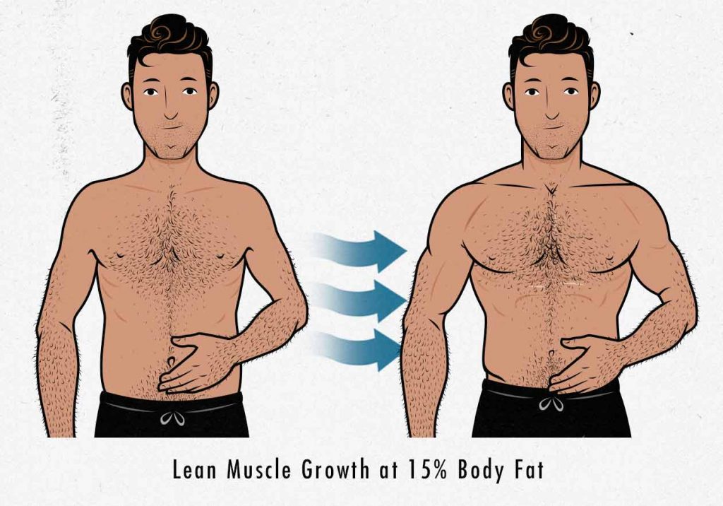 What is a Lean Bulk? Build Muscle without Gaining Fat (in Excess