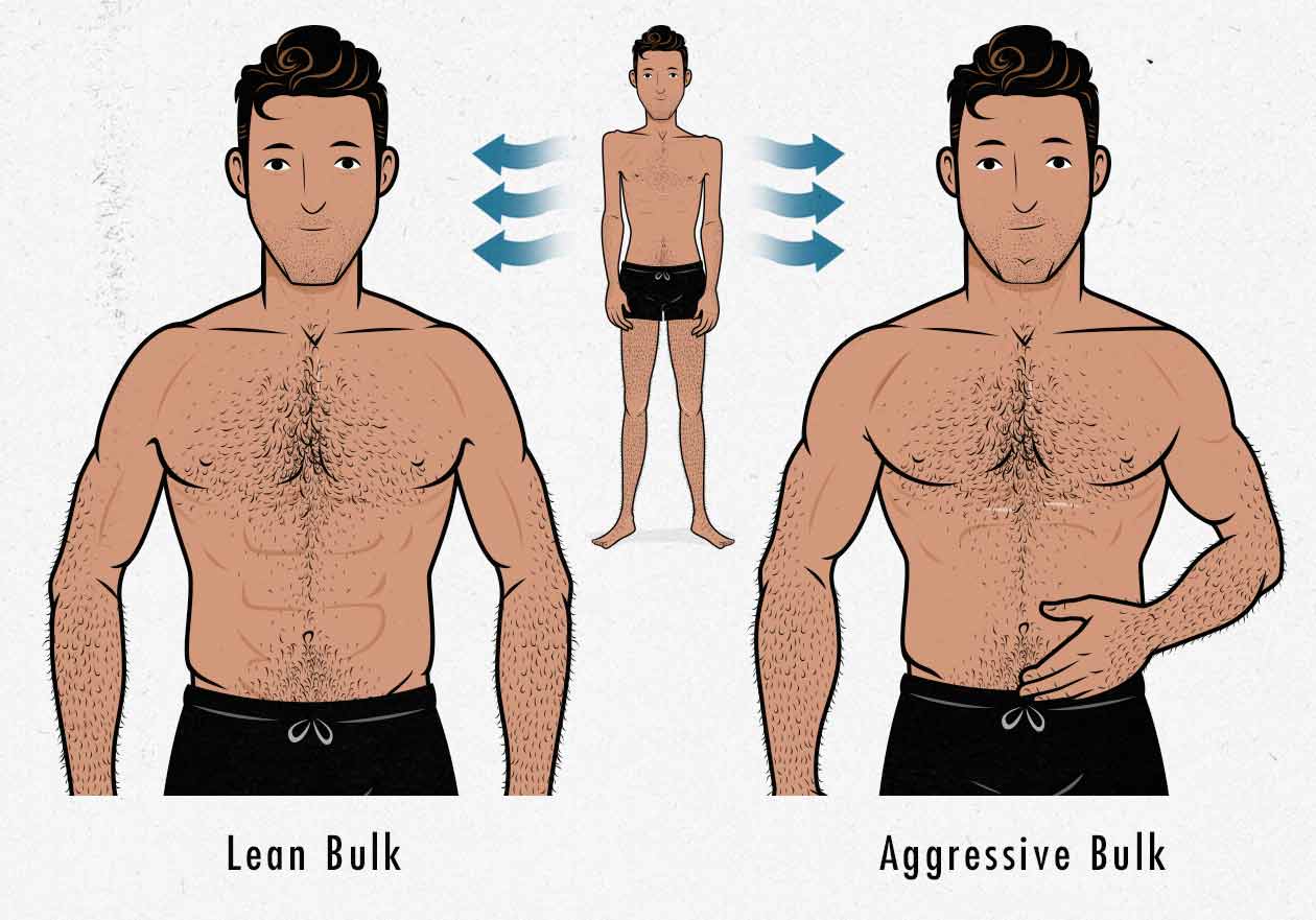 Illustration of lean gains vs bulking up fast.