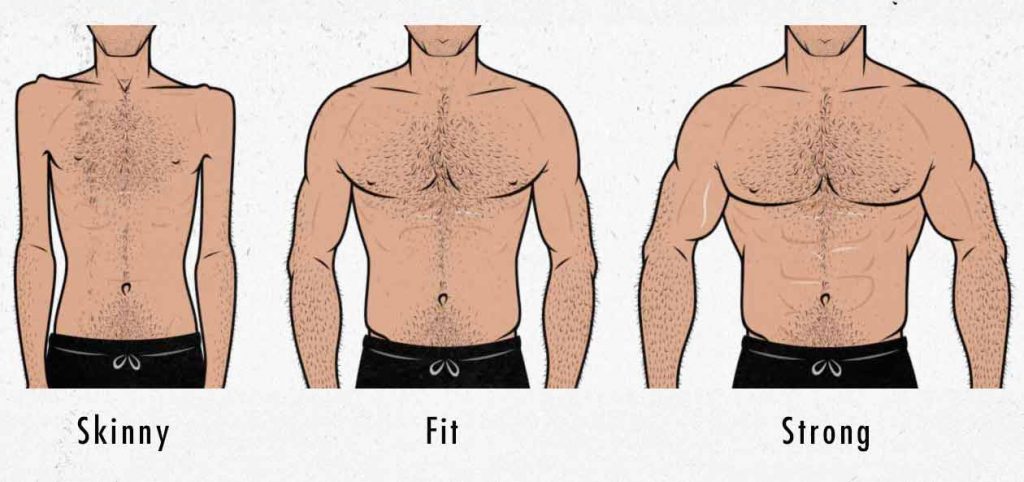 When do I know when to stop my bulk? - Quora