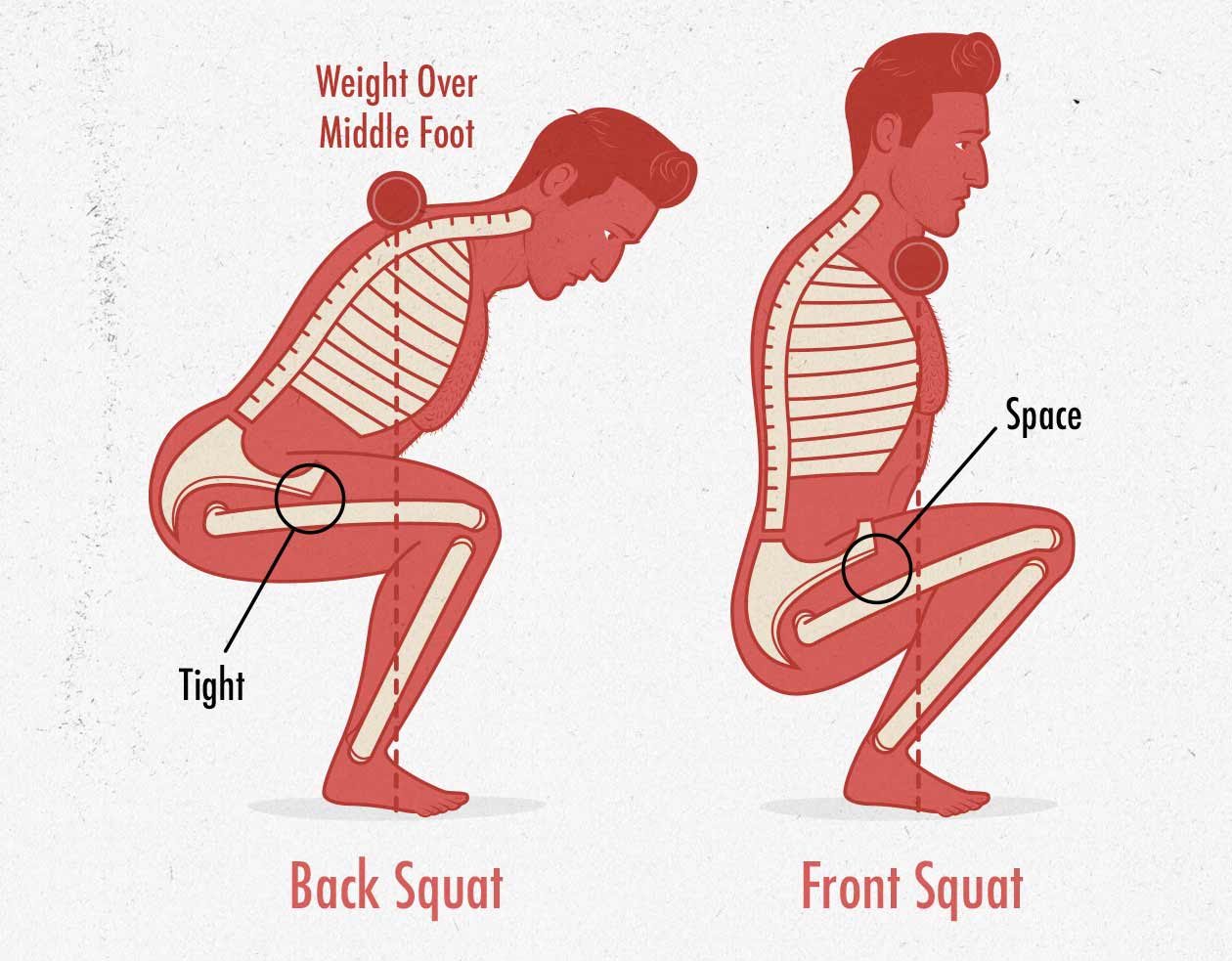 Where are you supposed to feel squats?