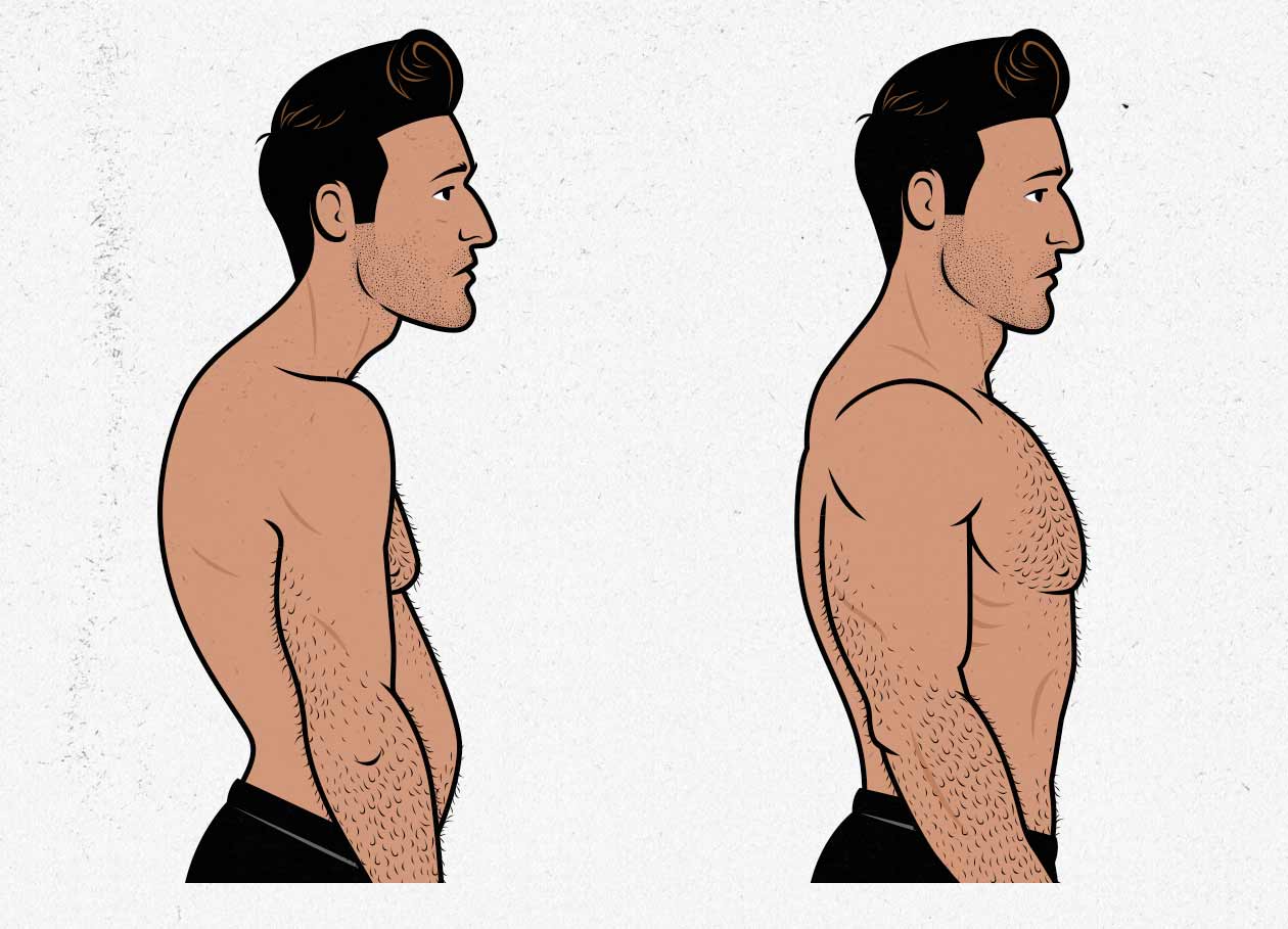 Illustration of a man improving his posture and building up a bigger back.