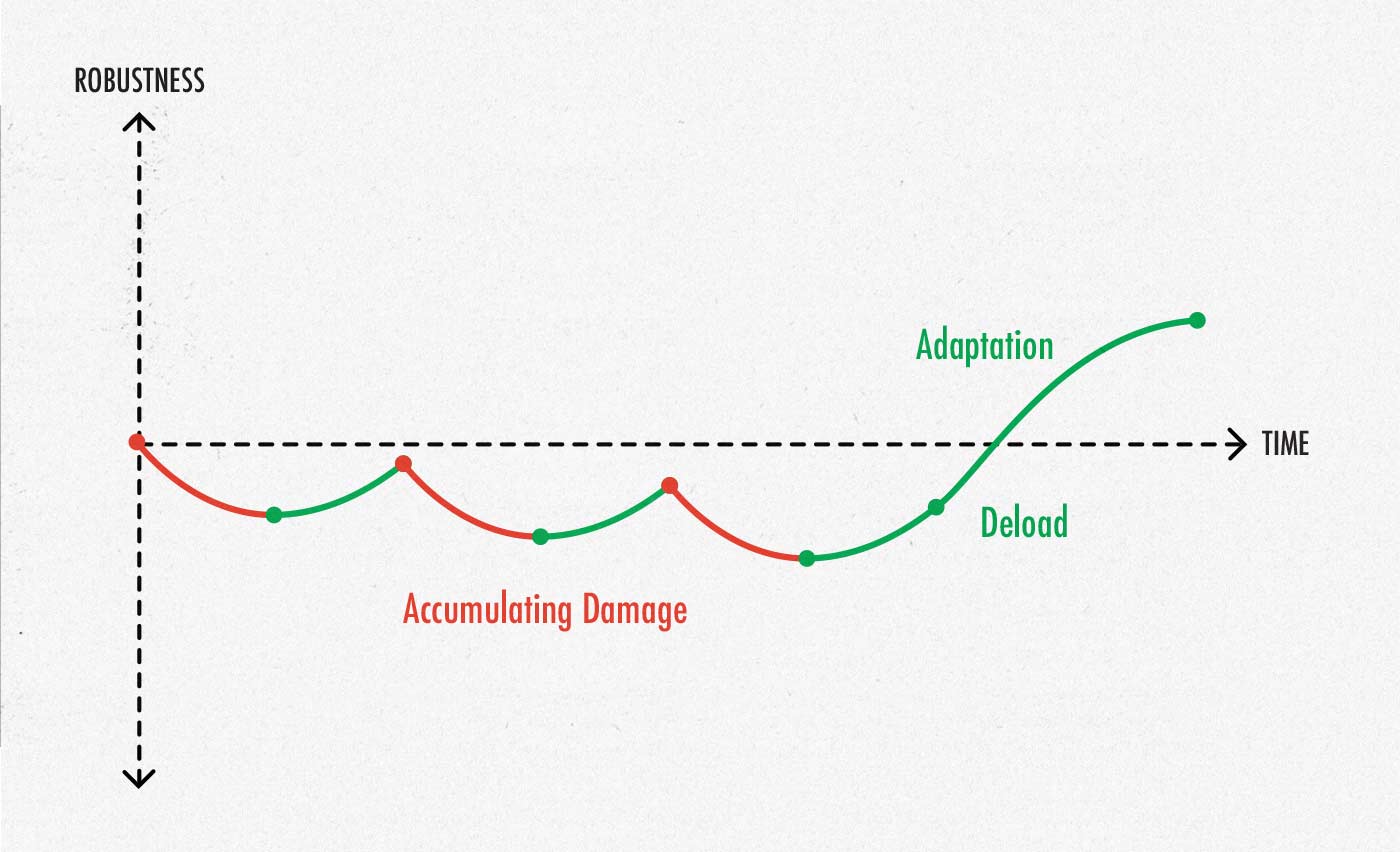 Diagram of SRA curve showing accumulating stress