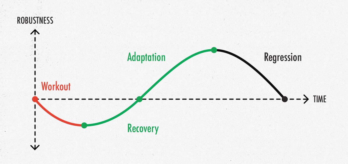 SRA curve showing how our immune systems adapt over time.