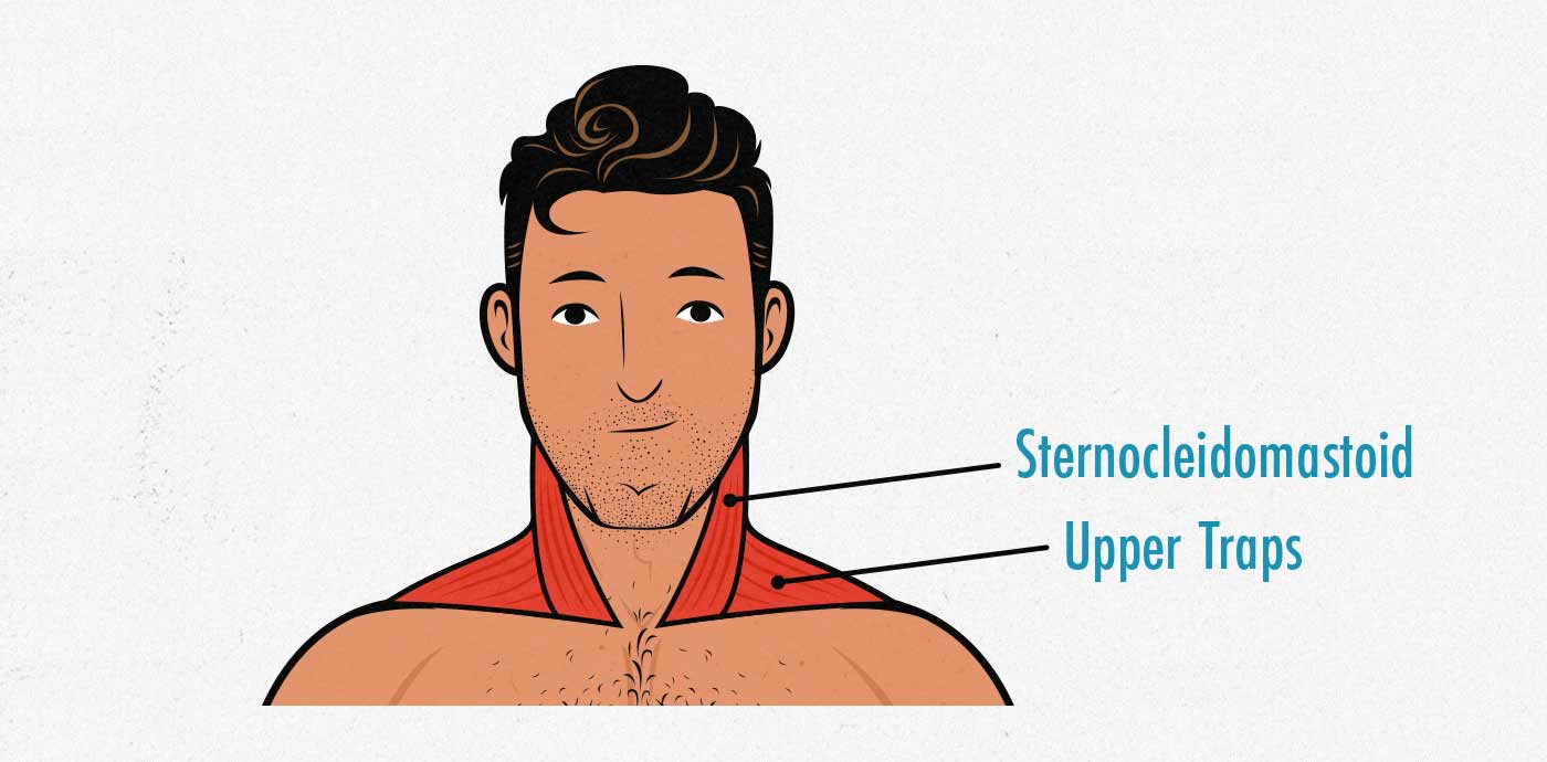 Exercises for men neck 5 Neck