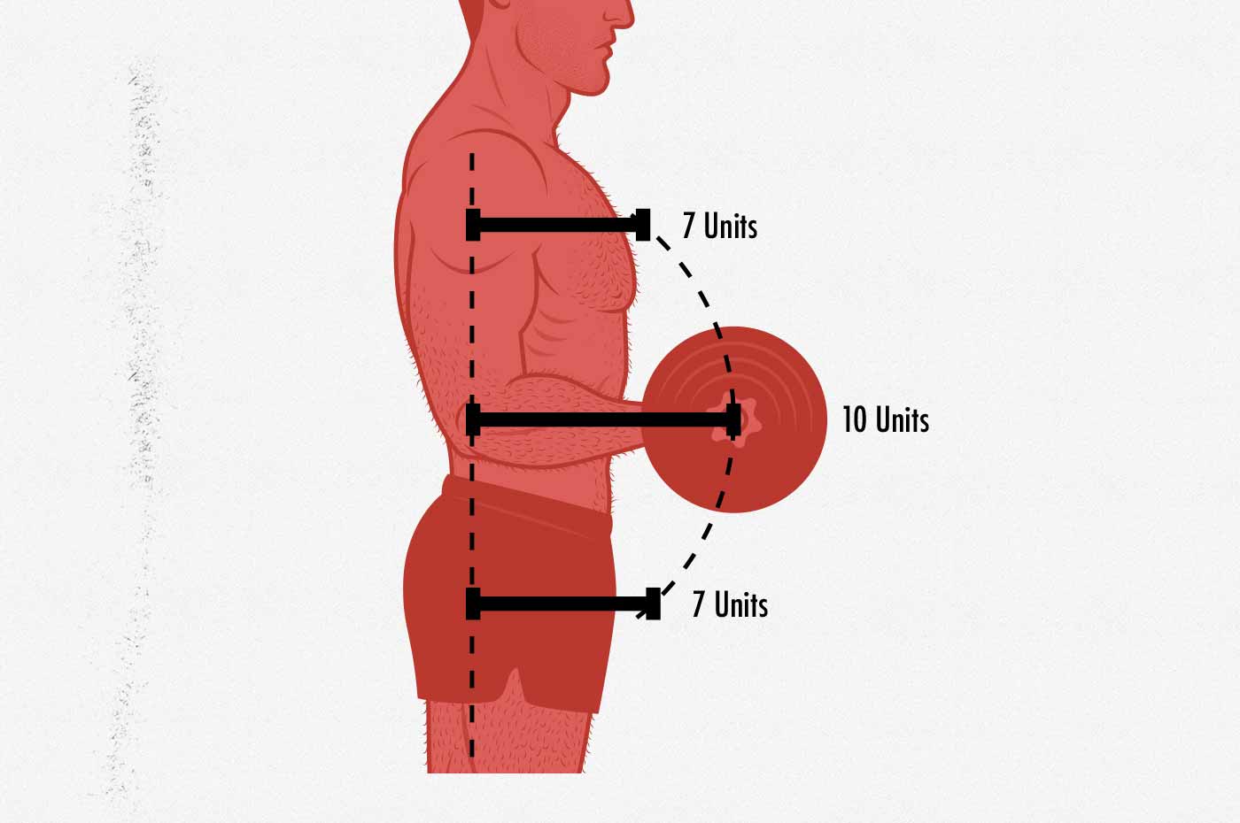 Illustration of the resistance curve of the biceps curl.