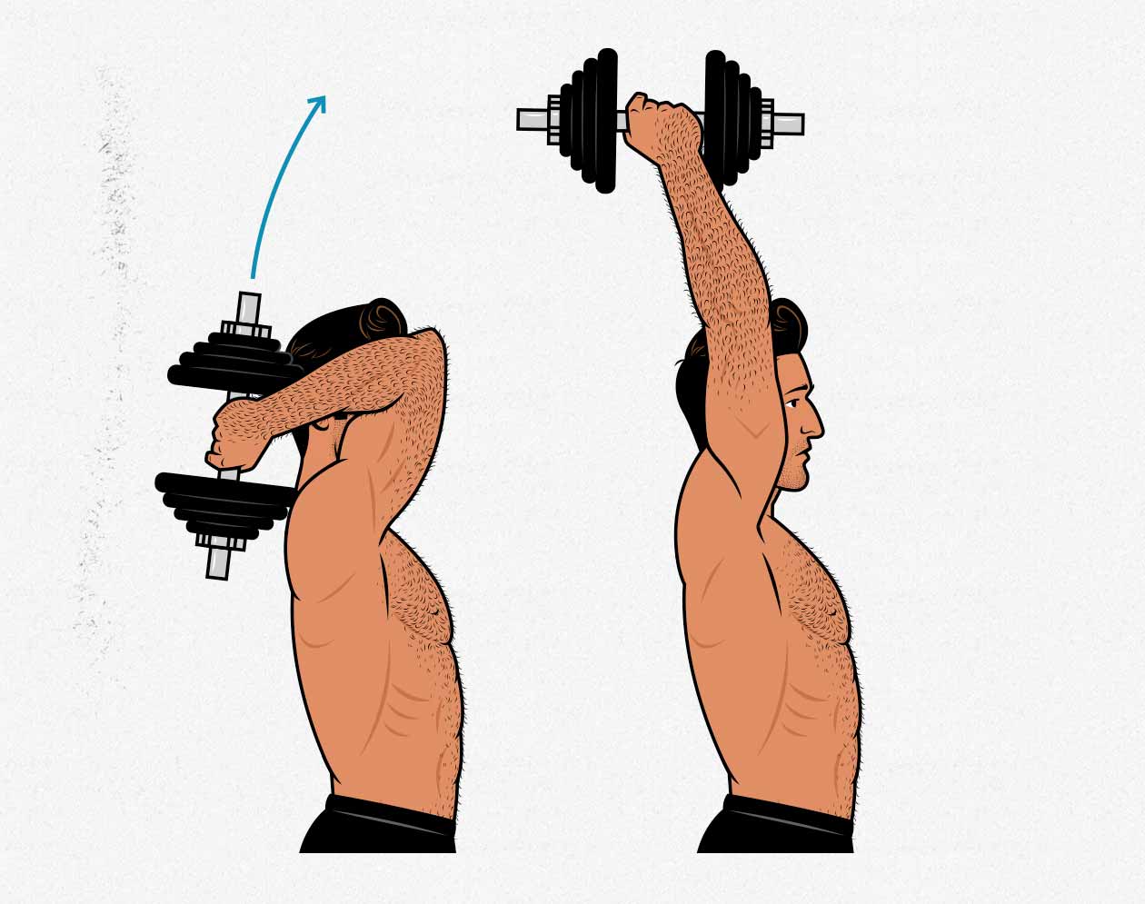 How To: Seated Overhead Tricep Extension with an E-Z Curl Bar