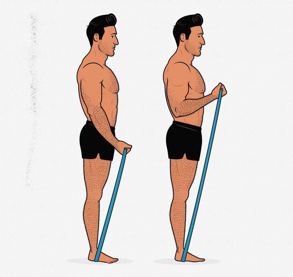 Do Resistance Bands Build Muscle? Yes, But How Well?