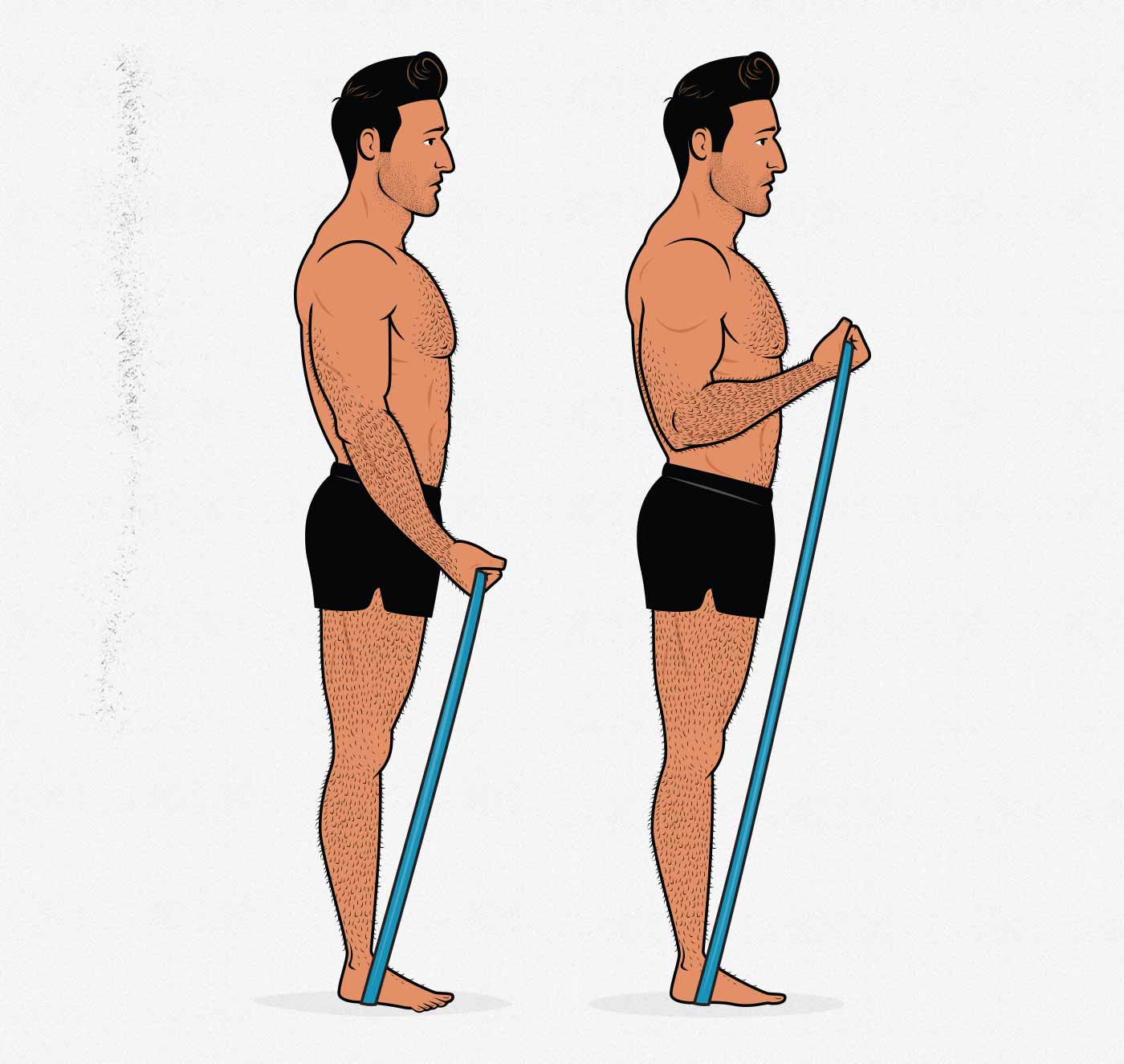 Illustration of a muscular man doing biceps curls with resistance bands.