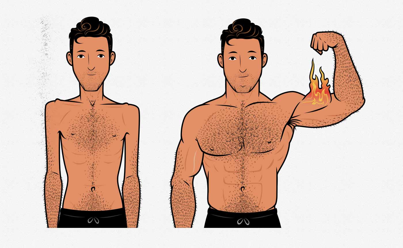 Illustration of a skinny guy building muscle and becoming muscular (before/after).