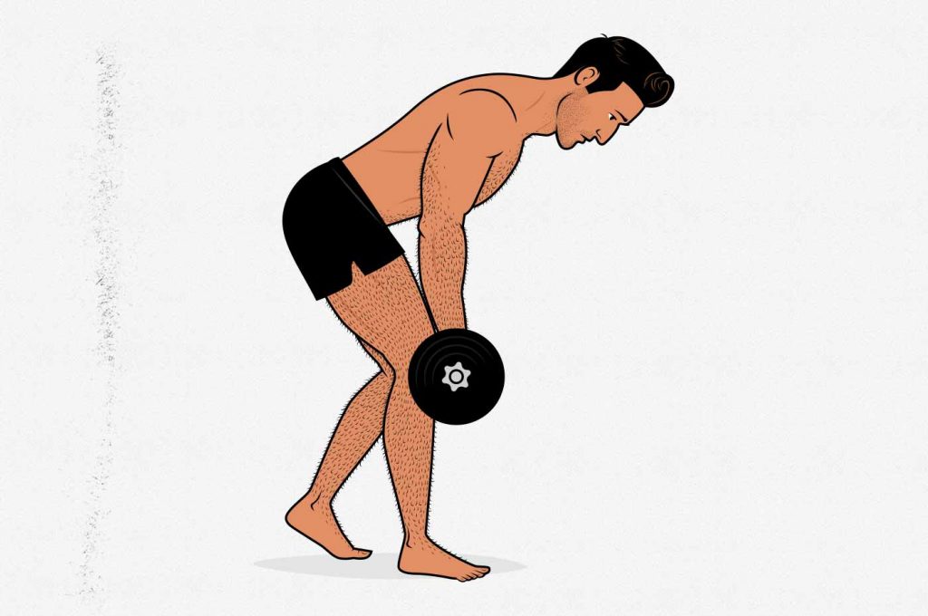 Back and Bicep Workout: How to Hit Your Pulling Muscles Without Weights -  Gymless