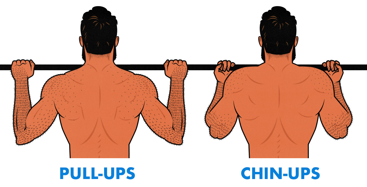 Illustration showing the difference between chin-ups and pull-ups.