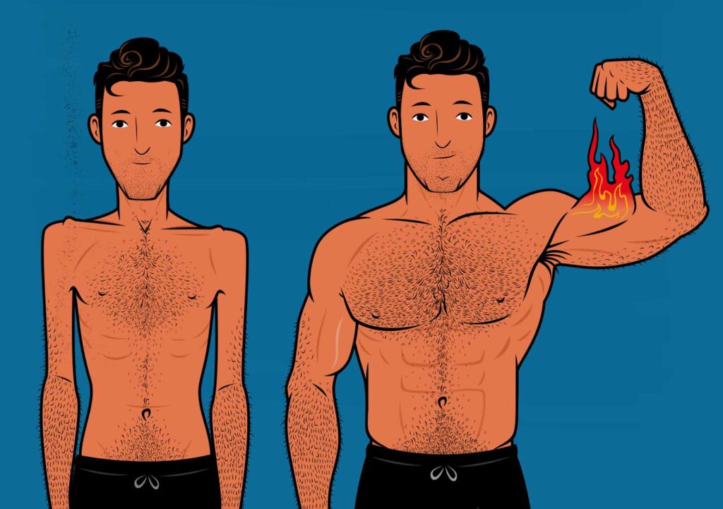 Bony to Beastly - How to Build Muscle—for Skinny Guys
