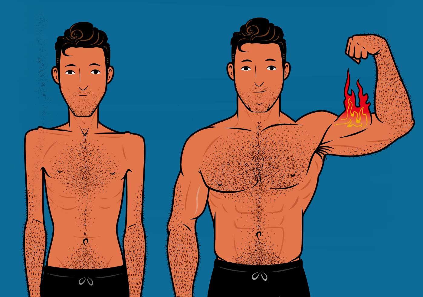 The Muscle Building Workout Routine - Build Muscle Mass Fast