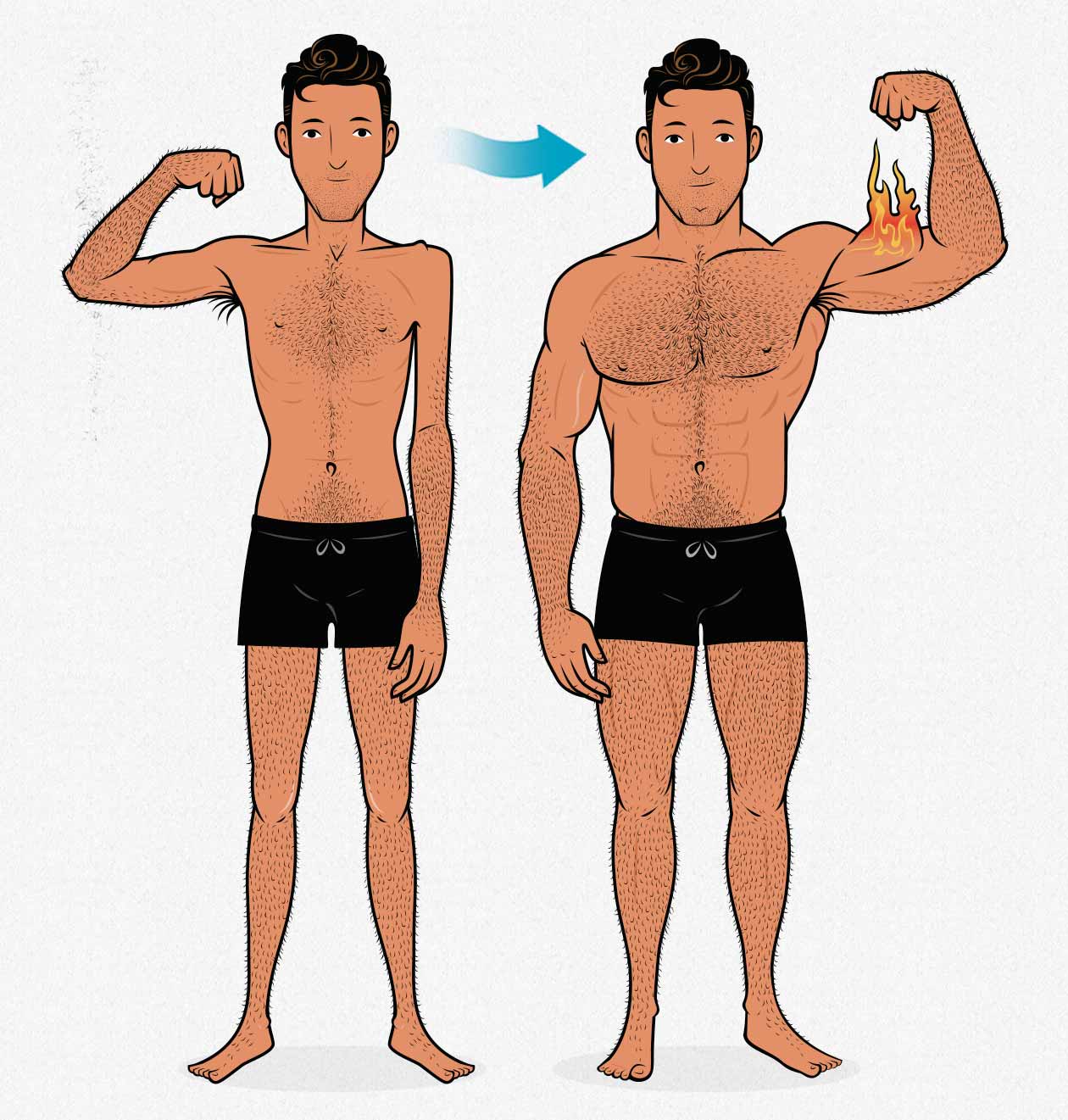 Before and after illustration of an ectomorph's progress as he gains muscle.