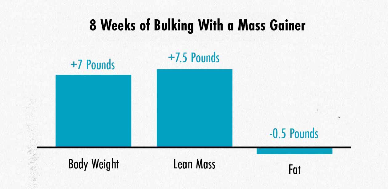 A graph showing the muscle growth and fat gains from a hypertrophy study.