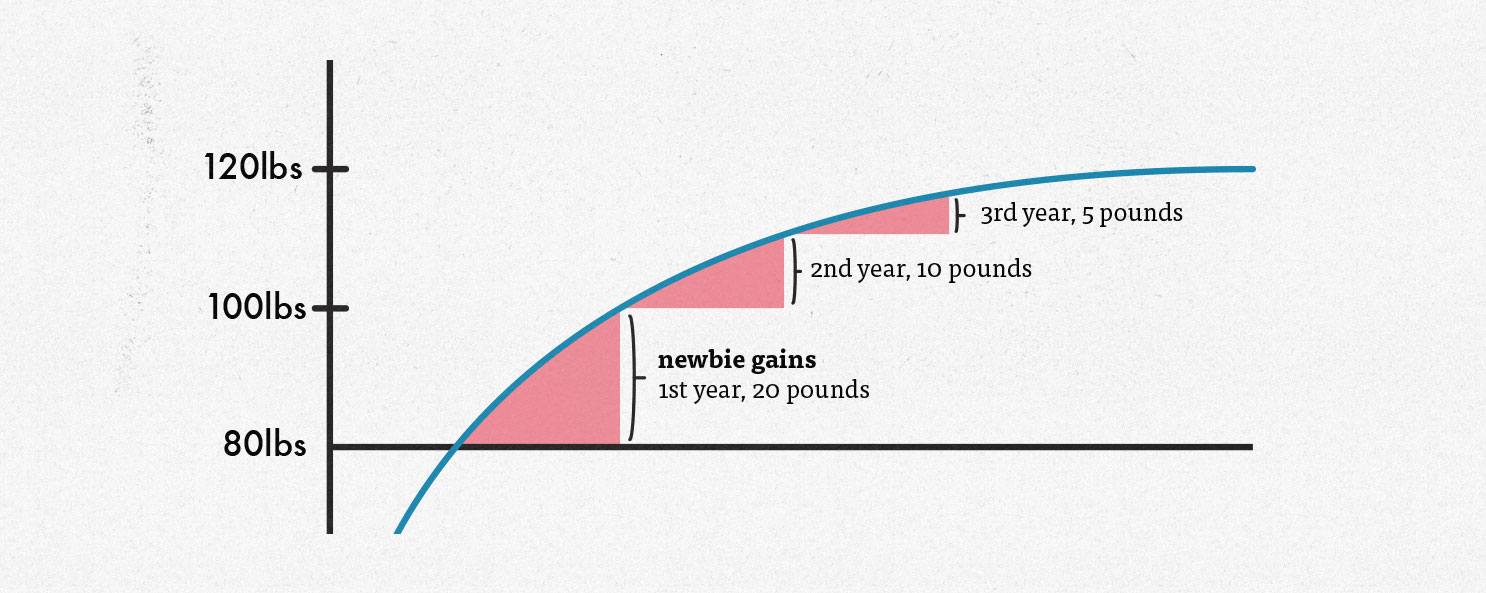 Diagram showing how fast the average person can gain muscle mass, giving us an idea of how quickly we should gain weight during a lean bulk.