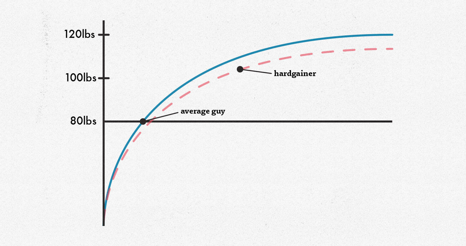 Graph showing that skinny "ectomorphs" tend to have a lower muscular potential than the average man.