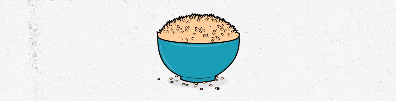 Illustration of a bowl of rice, a great source of carbs when trying to hit your lean bulking macros.