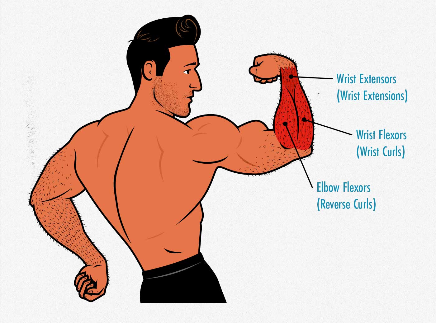 Exercise to discount build wrist muscle