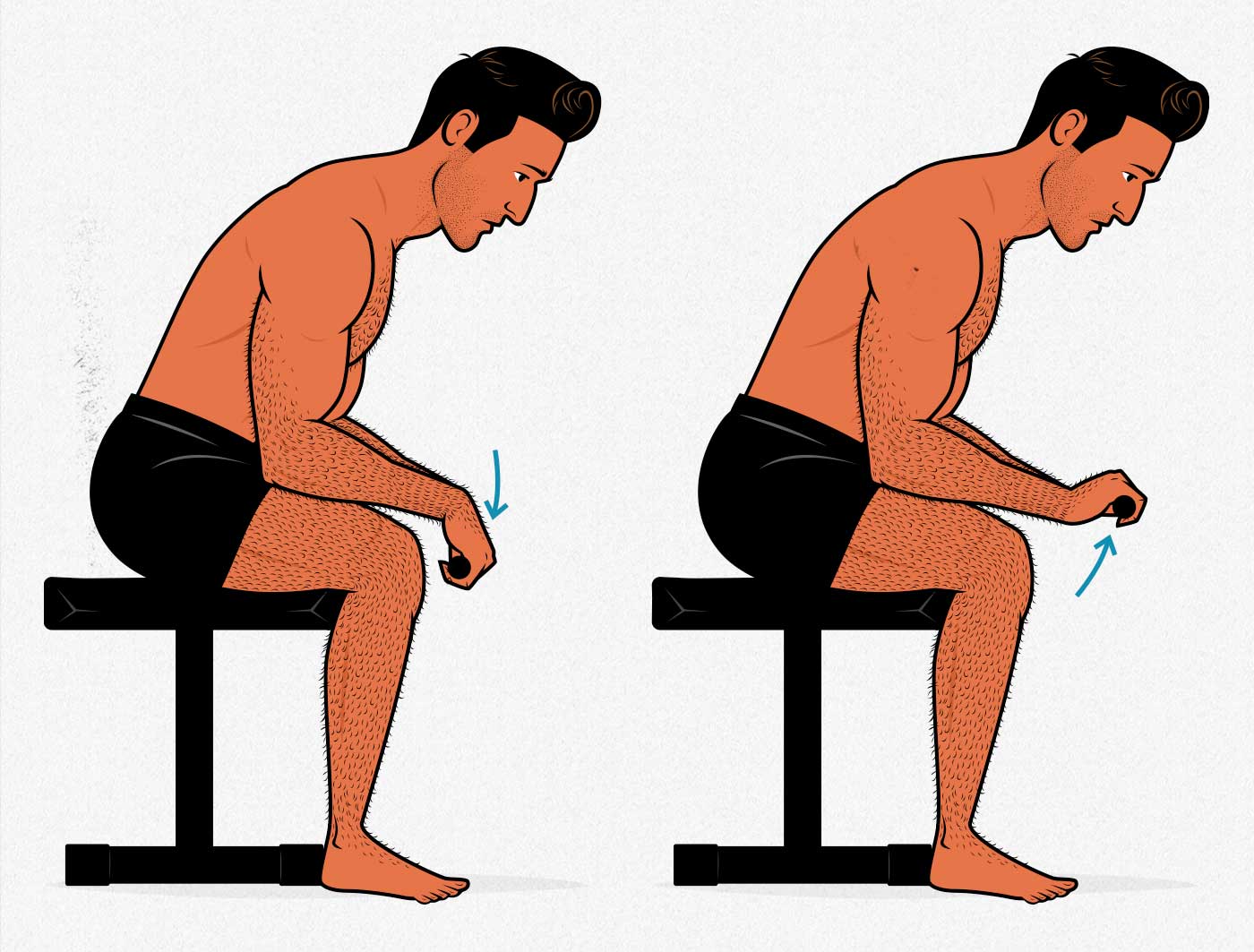 Illustration of a man showing how to do the seated wrist extension exercise to build bigger forearms.