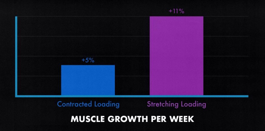 Study diagram showing that muscles grow faster when trained under a deep stretch.