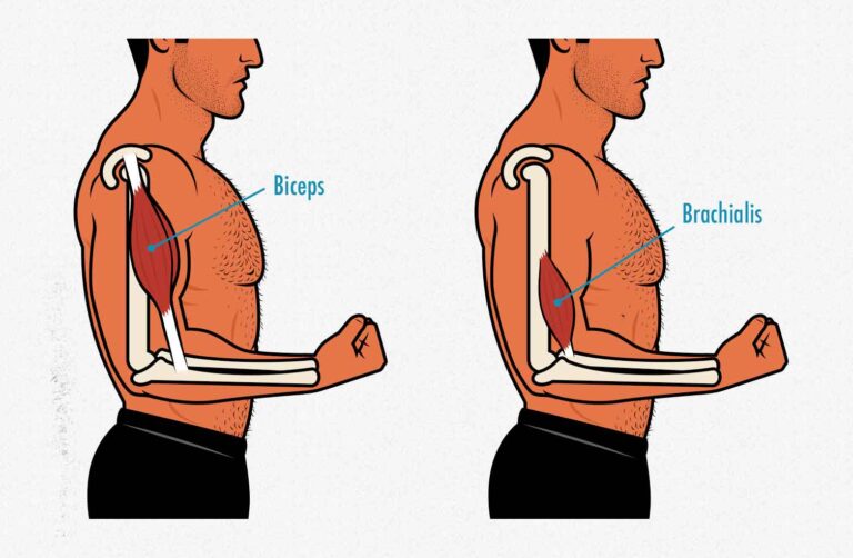 How to Build Bigger Arms