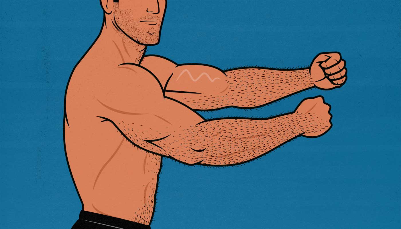 Illustration of a bodybuilder building bigger arms.