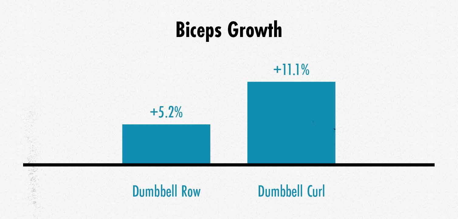 Graph showing the results of a study comparing dumbbells rows with biceps curls for biceps growth.