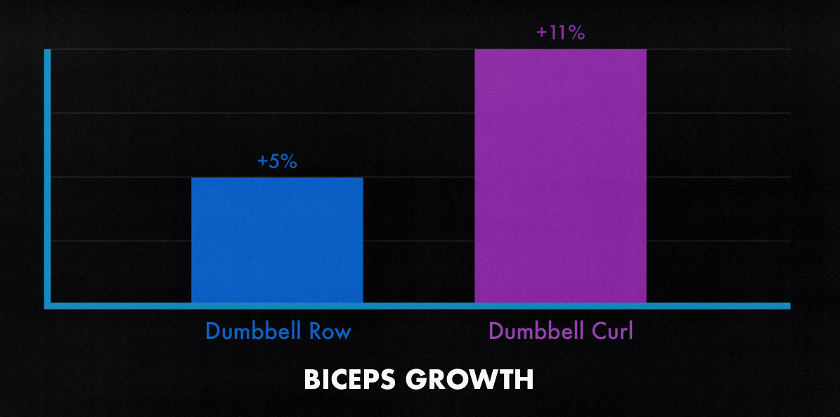 Arm hypertrophy study showing that biceps curls are the best exercise for building bigger biceps.