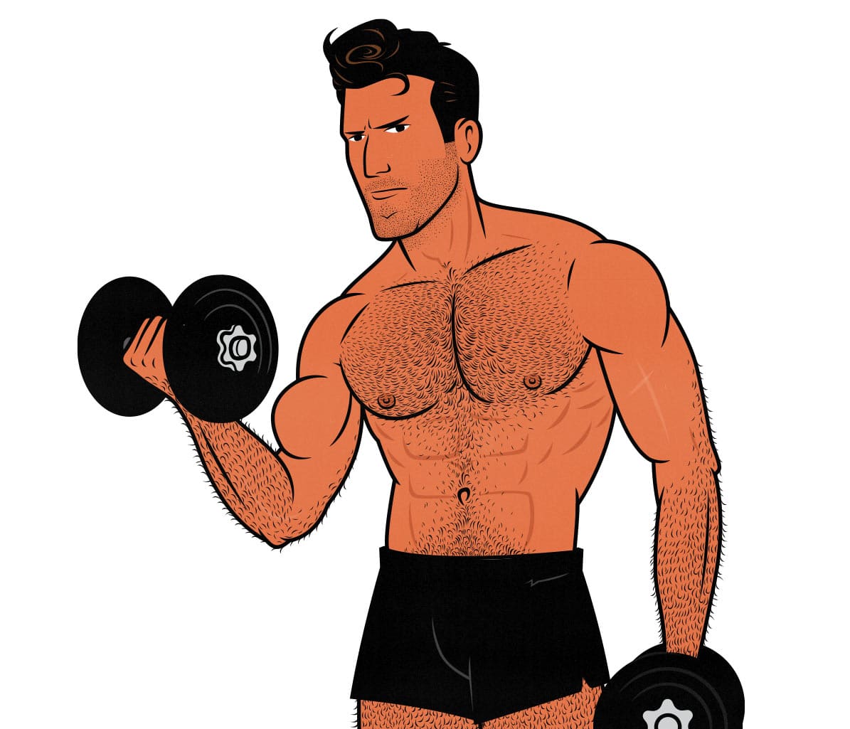 Illustration of a weight lifter doing biceps curls to build bigger arms.