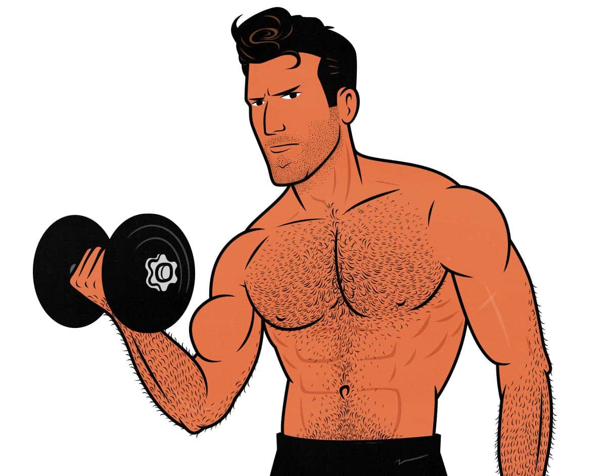 Illustration of a beginner lifter doing a full-body workout routine to build muscle and bulk up.