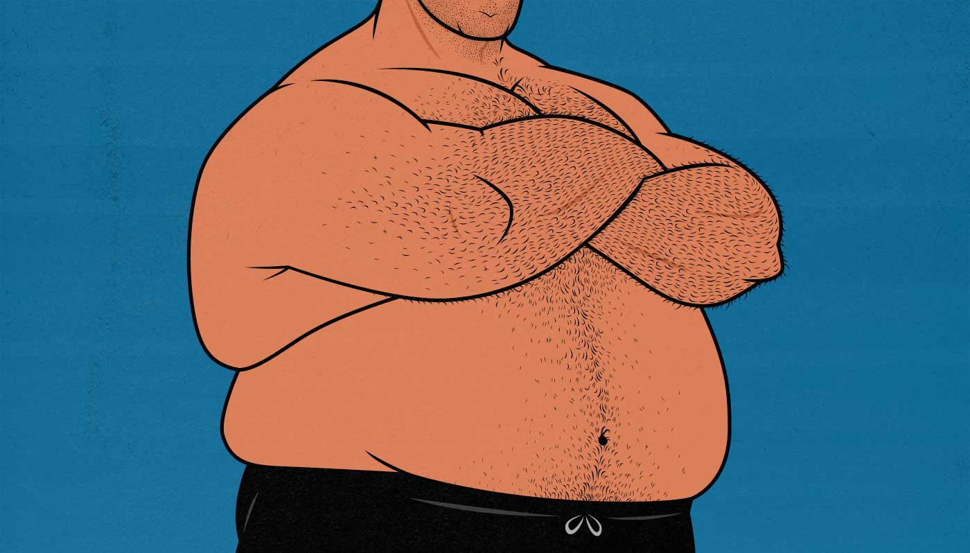Bulky vs Fat