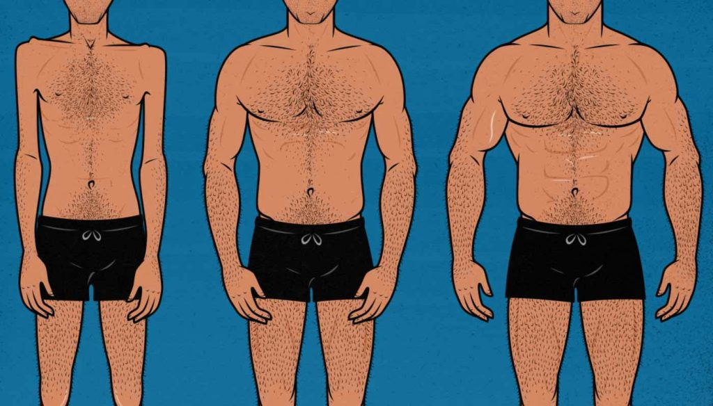 When bulking should you care about how your body looks? - Quora