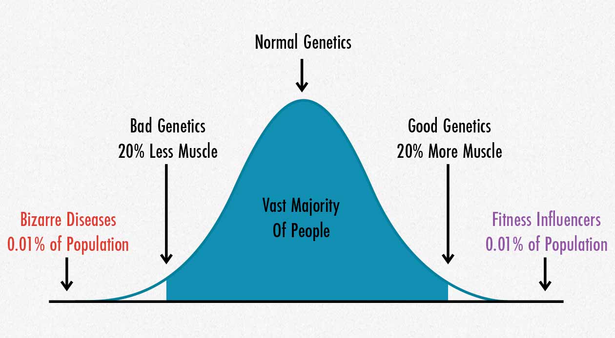 Graph showing the proportions of the population with good, bad, and mediocre muscle-building genetics