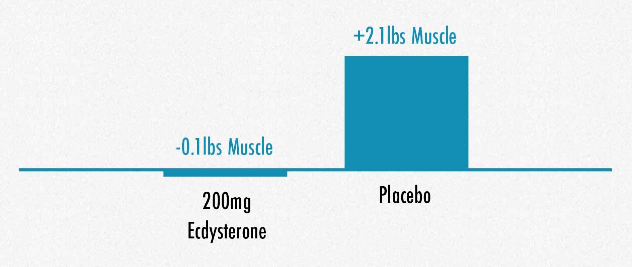 Graph showing that supplementing with ecdysteroids like turkesterone doesn't increase muscle growth.