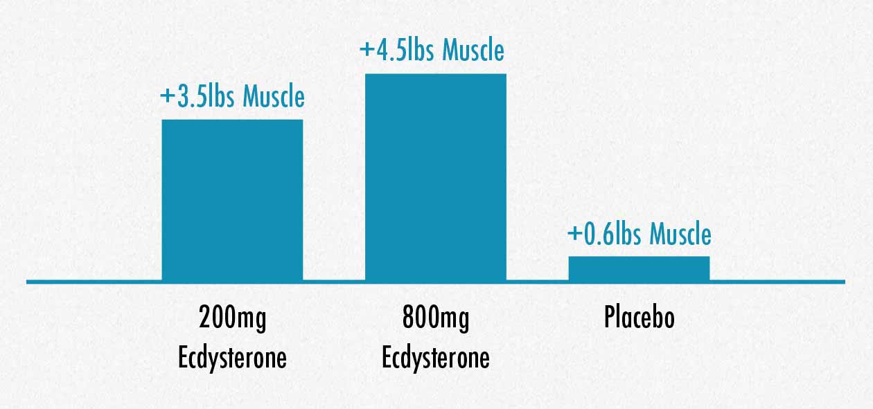 One study found increases in muscle mass from supplementing with ecdysterone.