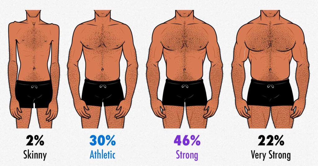 Survey results showing which degree of muscularity gay men find most attractive.